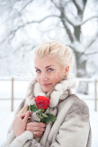 Séduisant blond femme Rose Red rose mode [[stock_photo]] © Nejron