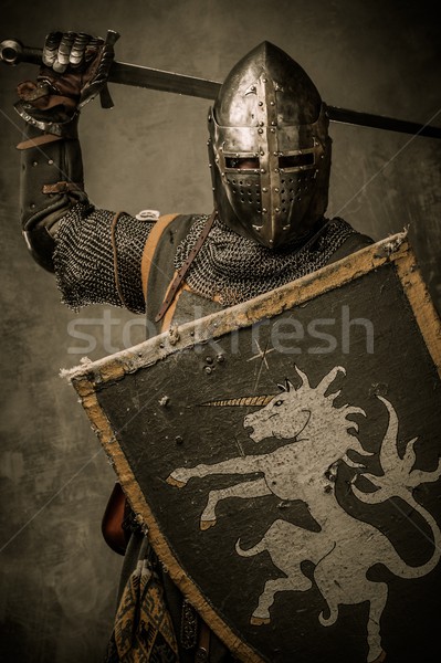 Medieval knight with sword and shield against stone wall Stock photo © Nejron