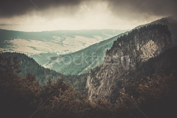Beautiful mountains landscape view Stock photo © Nejron