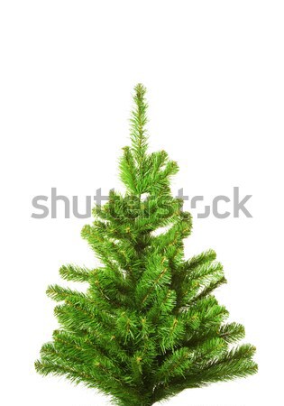 Christmas tree without decoration. Isolated on white background Stock photo © Nejron