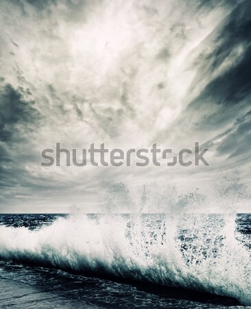 Big ocean wave breaking the shore Stock photo © Nejron