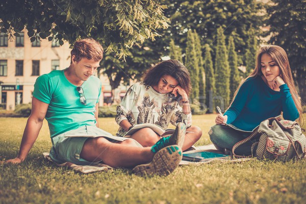 Stock photo: Group of multi ethnic students in a city park 