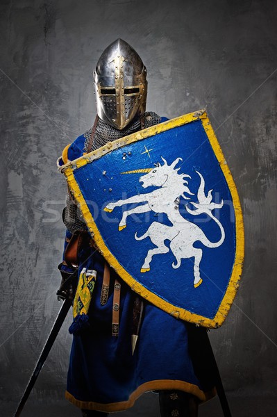 Medieval knight on grey background. Stock photo © Nejron