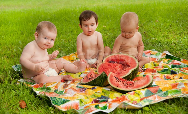 Group of babies eating watermelon outdoors. Stock photo © Nejron