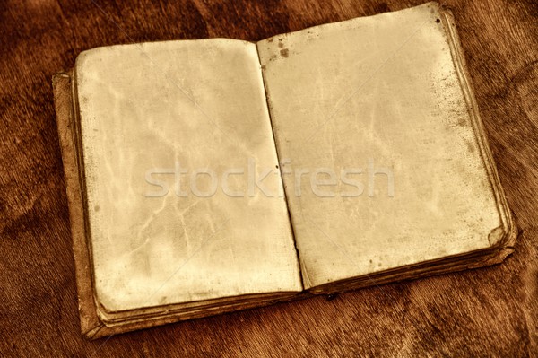 Opened vintage book with blank pages. Stock photo © Nejron