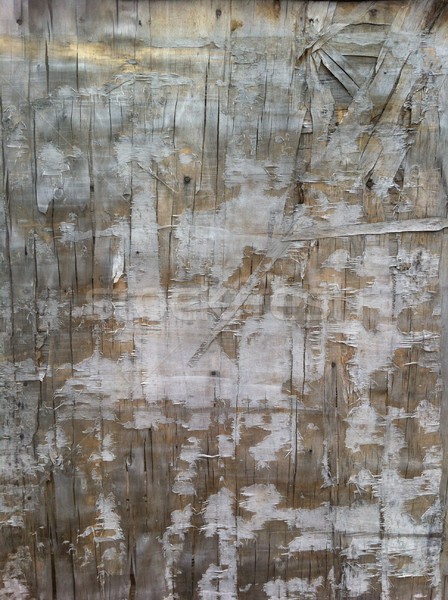 Wooden background Stock photo © Nejron