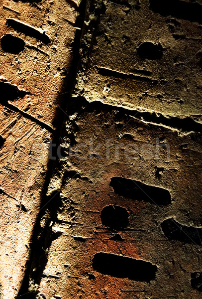 Grunge brick wall texture Stock photo © Nejron