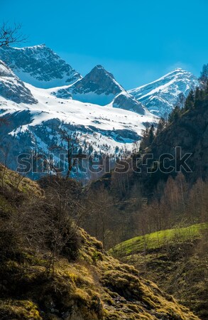 Pyrenees mountains in Cirque de Gavarnie, France Stock photo © Nejron