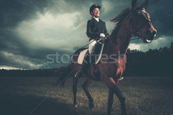 Beautiful girl sitting on a horse outdoors against moody sky Stock photo © Nejron