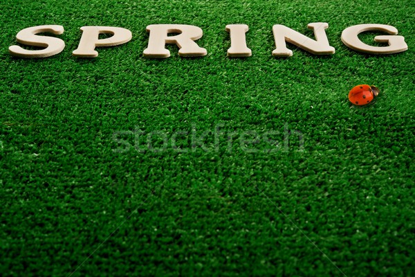 Foto stock: Palavra · primavera · escrito · verde · grama · abstrato