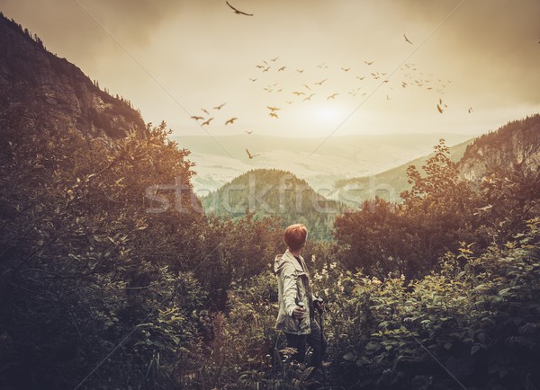 Kobieta turysta spaceru górskich lasu drzewo Zdjęcia stock © Nejron