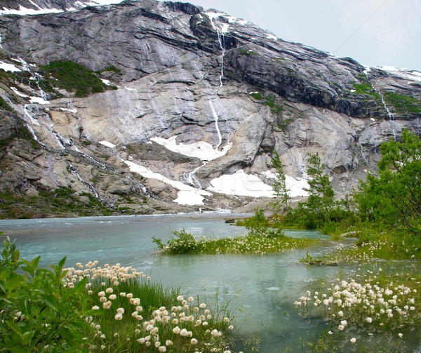 Belo lago norueguês montanhas árvore natureza Foto stock © Nejron