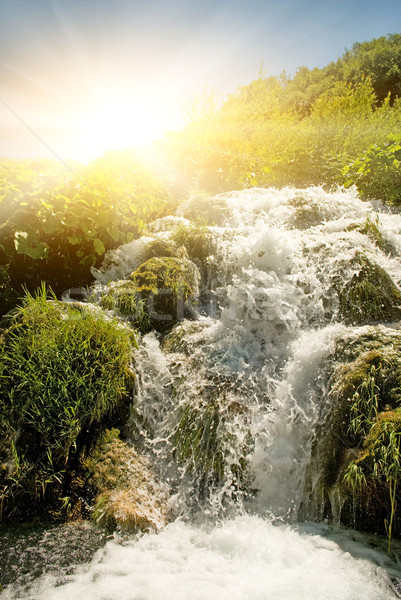 Stock photo: Sunrise over waterfall in wild forest