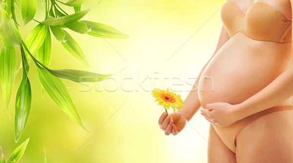 Stock foto: Schönen · Körper · Frau · Mädchen · Baby