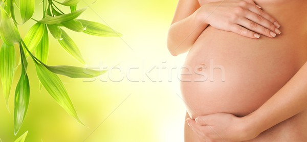 Schönen schwanger Bauch Baby Liebe Körper Stock foto © Nejron