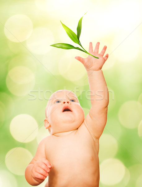 Beautiful baby trying to catch green leaf Stock photo © Nejron