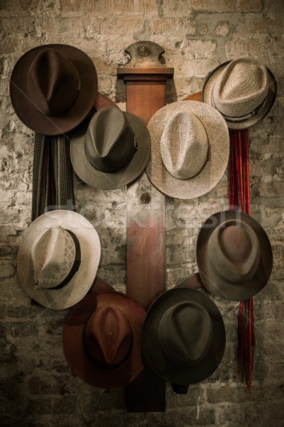 Wand Kleiderbügel unterschiedlich Hüte Baum Möbel Stock foto © Nejron
