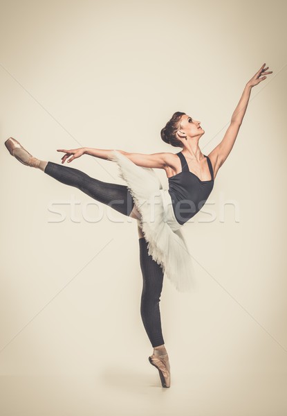 Young ballerina dancer in tutu showing her techniques  Stock photo © Nejron