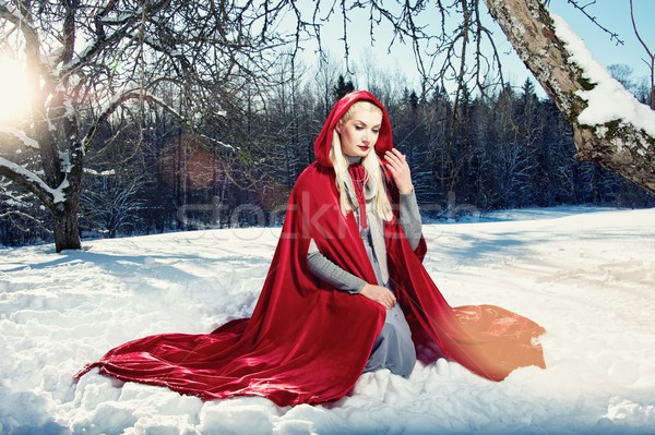 Stockfoto: Rood · vergadering · sneeuw · vrouw · meisje · achtergrond