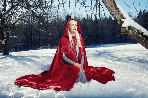 Red Hood sitting on a snow Stock photo © Nejron