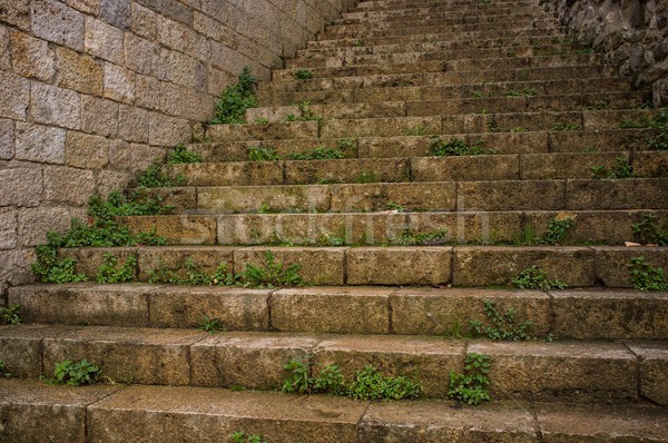 老 樓梯 戶外活動 森林 海洋 綠色 商業照片 © Nejron