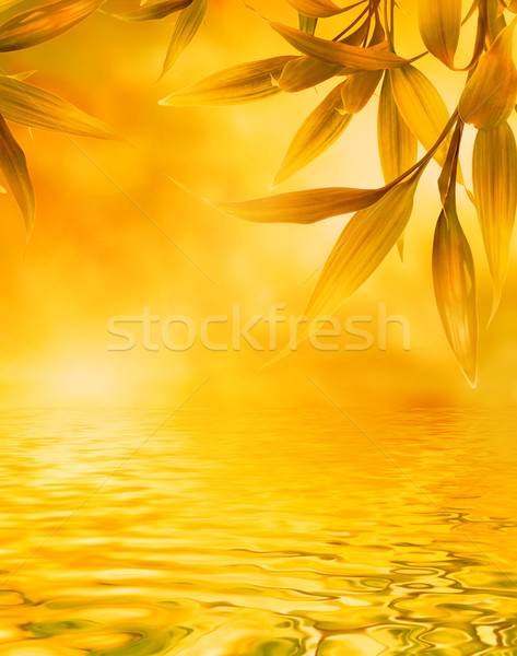 Golden leaves reflected in water Stock photo © Nejron