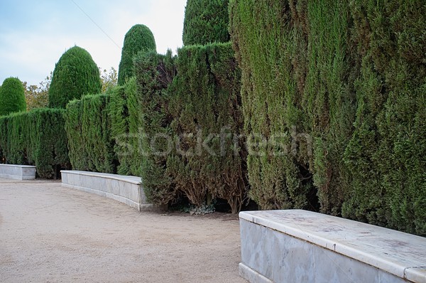 Marble bench in a park Stock photo © Nejron