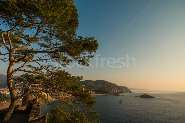 Sea view from Vila Vella, Tossa de Mar Stock photo © Nejron