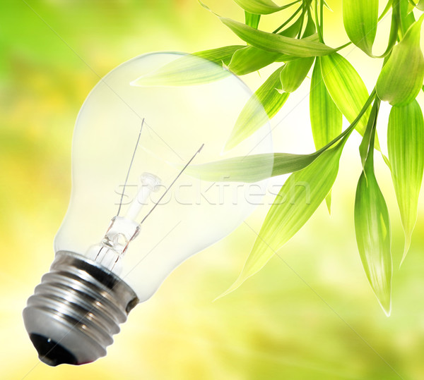 Environment friendly bulb Stock photo © Nejron