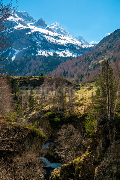 Pyrenees mountains in Cirque de Gavarnie, France Stock photo © Nejron