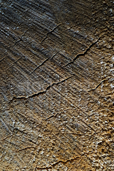Wooden texture Stock photo © Nejron