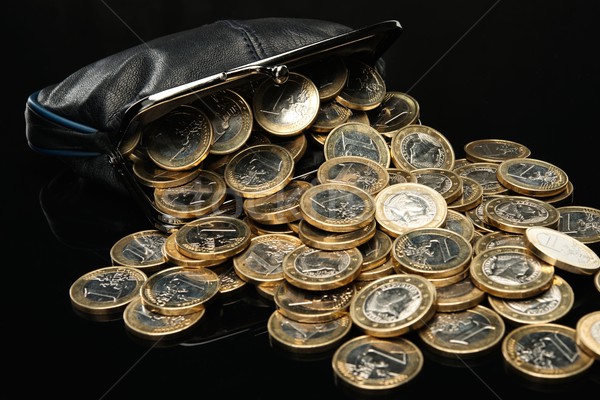 Purse with lot of euro coins  Stock photo © Nejron
