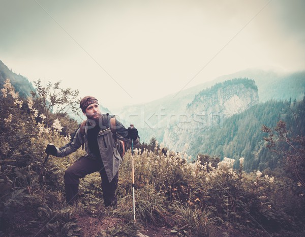ストックフォト: 男 · ハイキング · 徒歩 · 山 · 森林
