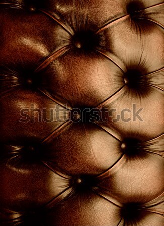 Stock photo: Genuine leather texture