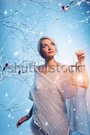 Stockfoto: Aantrekkelijke · vrouw · winter · bos · meisje · boom · gezicht