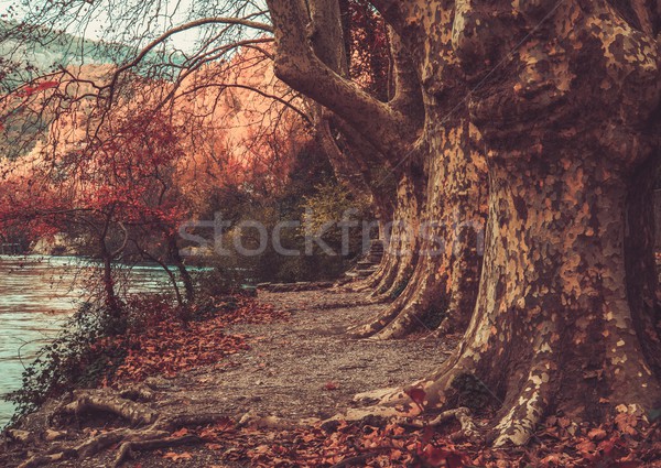 Walkway near river Stock photo © Nejron