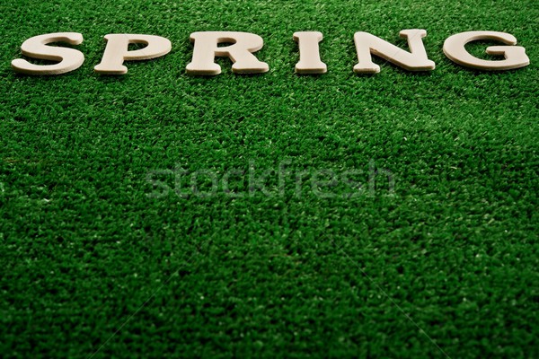 Stock photo: The word spring written on green background