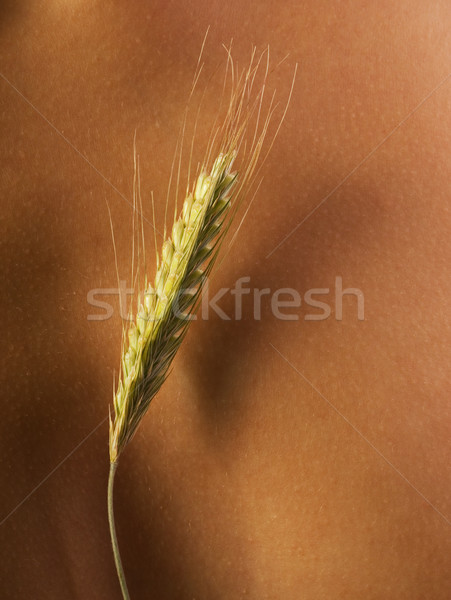 Wheat on human skin Stock photo © Nejron