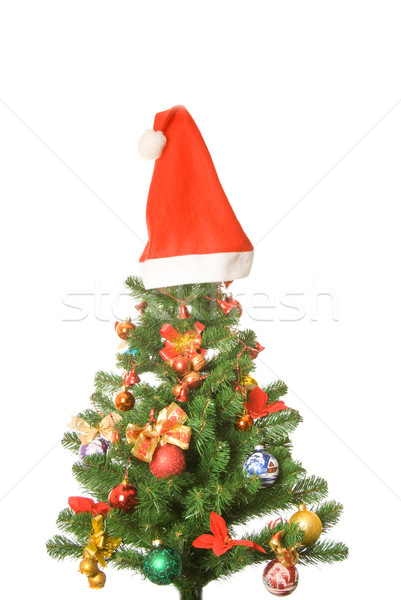 Decorated Christmas-tree Stock photo © Nejron
