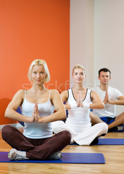 Grup insanlar yoga egzersiz kız spor vücut Stok fotoğraf © Nejron