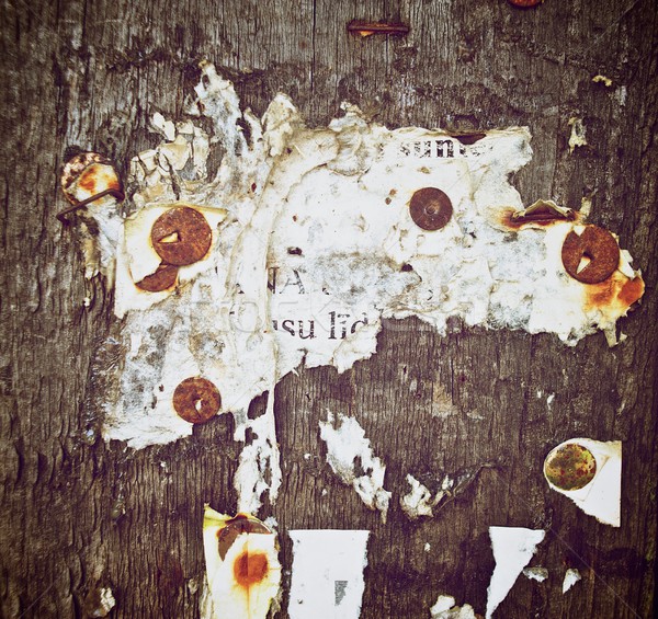 Grungy background Stock photo © Nejron