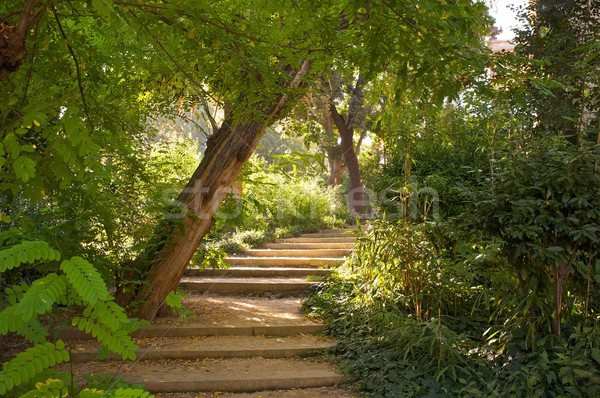 Stair in a beautiful park. Stock photo © Nejron
