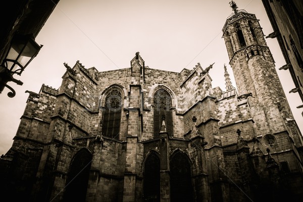 Stok fotoğraf: Katedral · Barcelona · İspanya · Bina · şehir