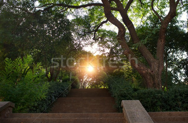 Stair in a beautiful park. Stock photo © Nejron