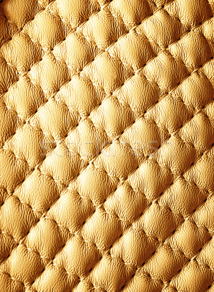 烏賊 圖片 皮革 抽象 商業照片 © Nejron