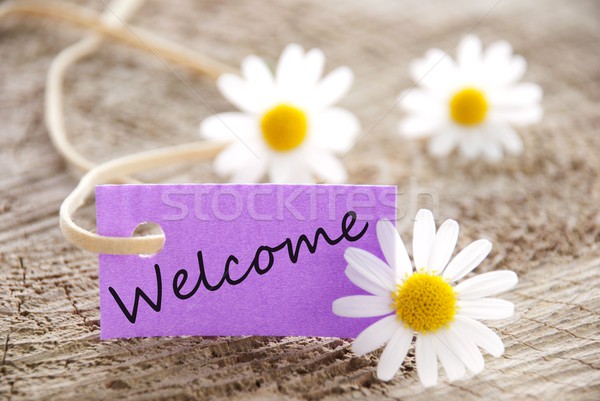 banner with Welcome Stock photo © Nelosa