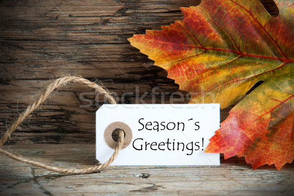 Fall Label with Seasons Greetings Stock photo © Nelosa