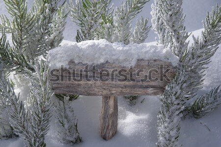 Christmas Sign With Copy Space Snow Fir Tree Branch Stock photo © Nelosa