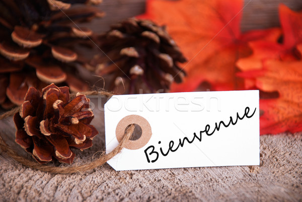 Bienvenue on a Fall Label Stock photo © Nelosa