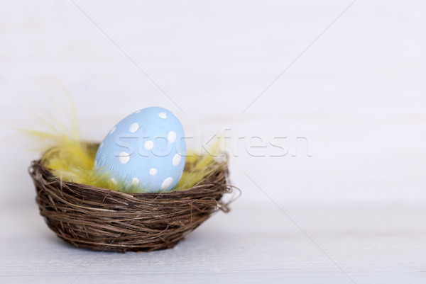 One Blue Easter Egg In Nest With Coppy Space Stock photo © Nelosa